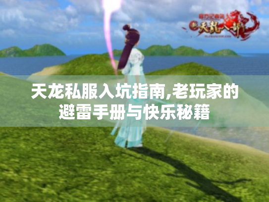 天龙私服入坑指南,老玩家的避雷手册与快乐秘籍 天龙私服入坑指南,老玩家的避雷手册与快乐秘籍