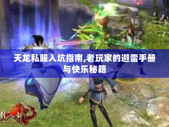 天龙私服入坑指南,老玩家的避雷手册与快乐秘籍 天龙私服入坑指南,老玩家的避雷手册与快乐秘籍
