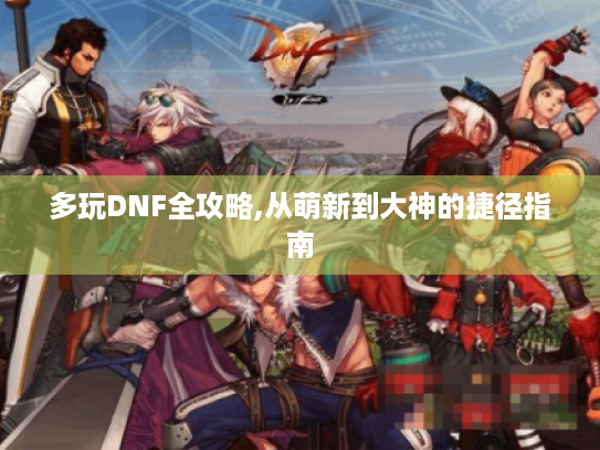 多玩DNF全攻略,从萌新到大神的捷径指南