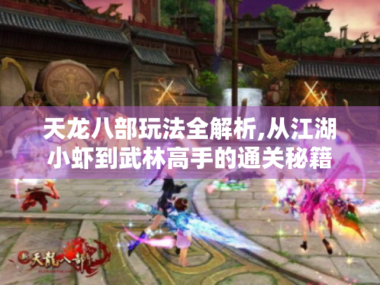 天龙八部玩法全解析,从江湖小虾到武林高手的通关秘籍