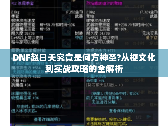 DNF赵日天究竟是何方神圣?从梗文化到实战攻略的全解析