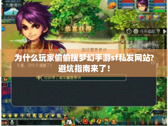 为什么玩家偷偷搜梦幻手游sf私发网站?避坑指南来了！