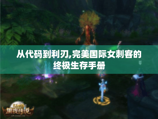 从代码到利刃,完美国际女刺客的终极生存手册