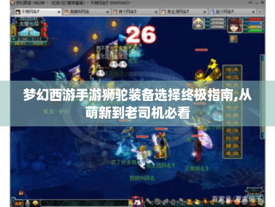 梦幻西游手游狮驼装备选择终极指南,从萌新到老司机必看