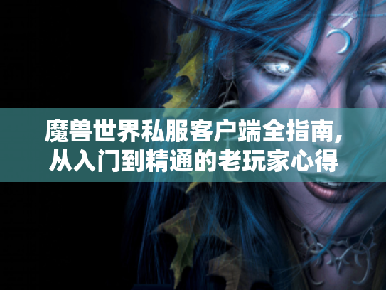魔兽世界私服客户端全指南,从入门到精通的老玩家心得