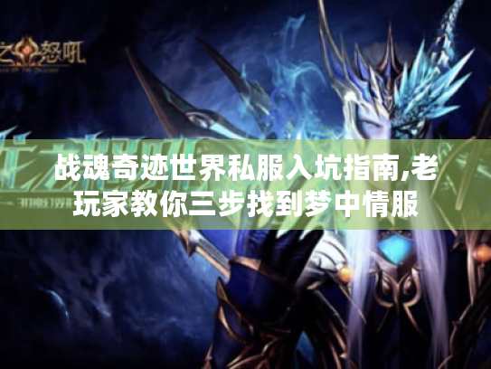 战魂奇迹世界私服入坑指南,老玩家教你三步找到梦中情服
