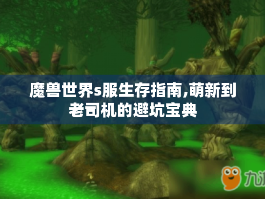 魔兽世界s服生存指南,萌新到老司机的避坑宝典