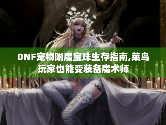 DNF宠物附魔宝珠生存指南,菜鸟玩家也能变装备魔术师