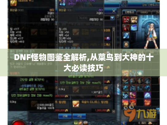 DNF怪物图鉴全解析,从菜鸟到大神的十大必读技巧