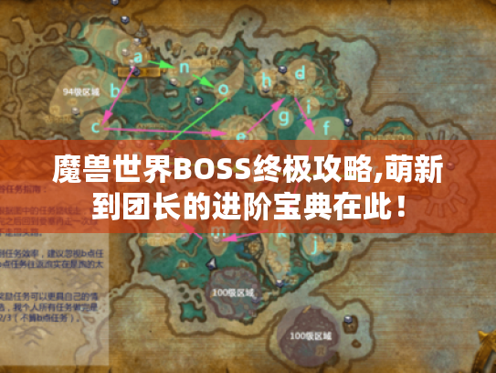 魔兽世界BOSS终极攻略,萌新到团长的进阶宝典在此！