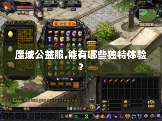 魔域公益服,能有哪些独特体验?