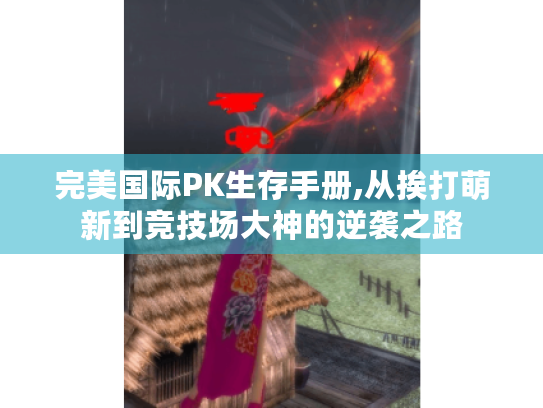 完美国际PK生存手册,从挨打萌新到竞技场大神的逆袭之路 完美国际PK生存手册,从挨打萌新到竞技场大神的逆袭之路