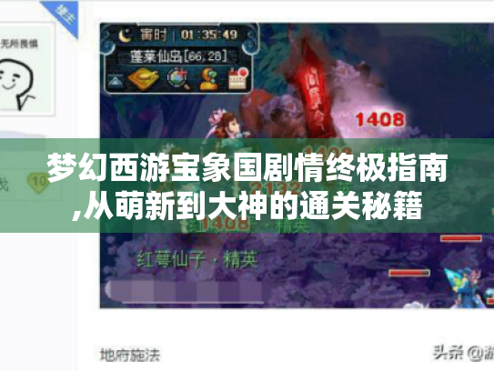 梦幻西游宝象国剧情终极指南,从萌新到大神的通关秘籍