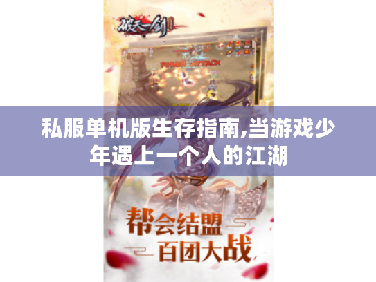 私服单机版生存指南,当游戏少年遇上一个人的江湖