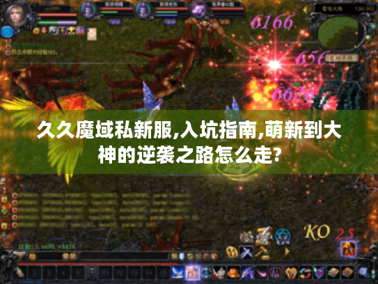 久久魔域私新服,入坑指南,萌新到大神的逆袭之路怎么走?