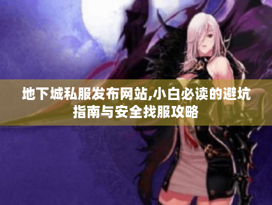 地下城私服发布网站,小白必读的避坑指南与安全找服攻略
