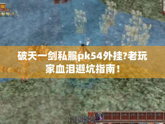 破天一剑私服pk54外挂?老玩家血泪避坑指南！