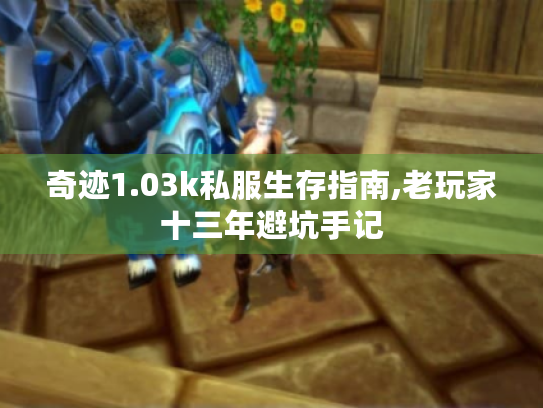 奇迹1.03k私服生存指南,老玩家十三年避坑手记