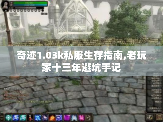 奇迹1.03k私服生存指南,老玩家十三年避坑手记