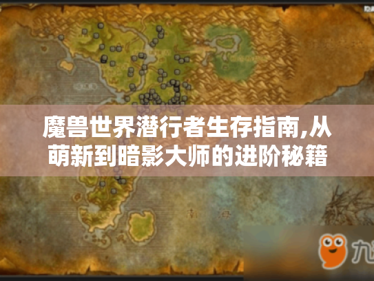 魔兽世界潜行者生存指南,从萌新到暗影大师的进阶秘籍