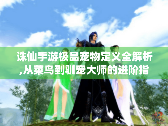 诛仙手游极品宠物定义全解析,从菜鸟到驯宠大师的进阶指南