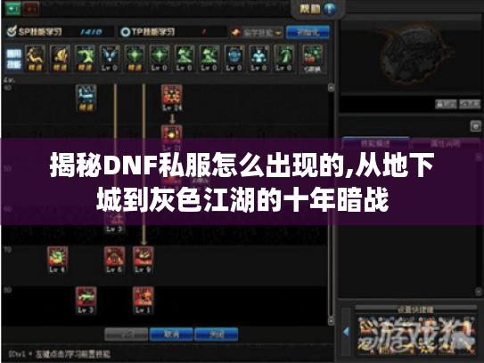 揭秘DNF私服怎么出现的,从地下城到灰色江湖的十年暗战