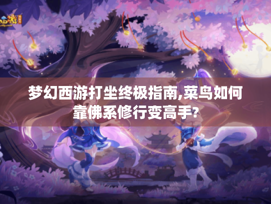 梦幻西游打坐终极指南,菜鸟如何靠佛系修行变高手?