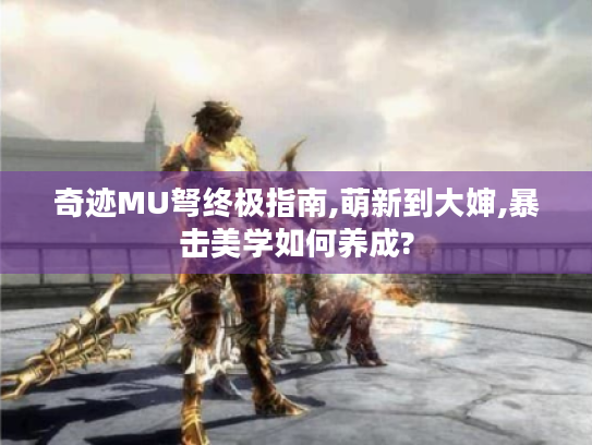 奇迹MU弩终极指南,萌新到大婶,暴击美学如何养成?