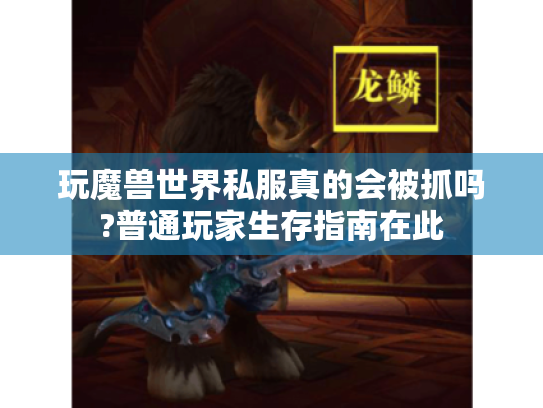 玩魔兽世界私服真的会被抓吗?普通玩家生存指南在此