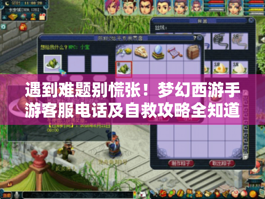遇到难题别慌张!梦幻西游手游客服电话及自救攻略全知道! 遇到难题别慌张!梦幻西游手游客服电话及自救攻略全知道!