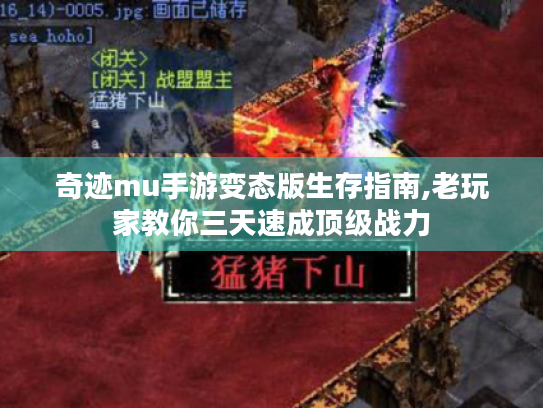 奇迹mu手游变态版生存指南,老玩家教你三天速成顶级战力