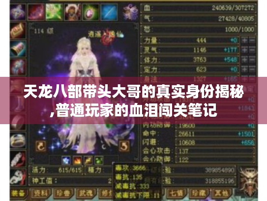 天龙八部带头大哥的真实身份揭秘,普通玩家的血泪闯关笔记