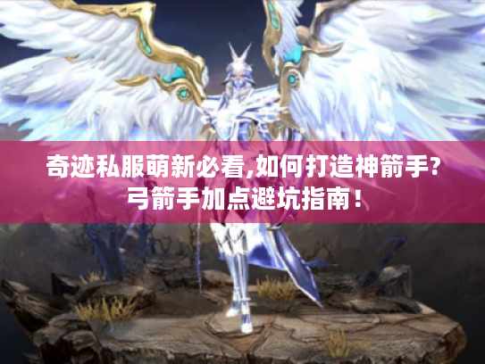 奇迹私服萌新必看,如何打造神箭手?弓箭手加点避坑指南！