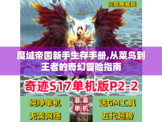 魔域帝国新手生存手册,从菜鸟到王者的奇幻冒险指南