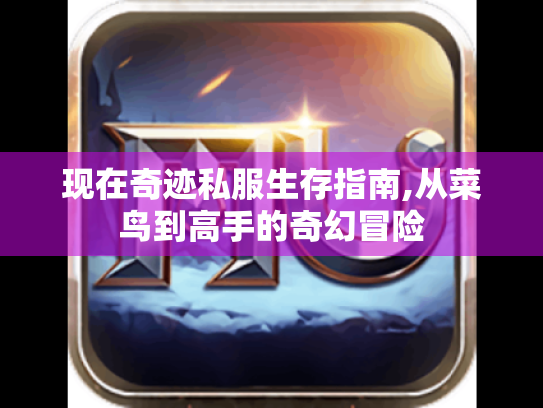 现在奇迹私服生存指南,从菜鸟到高手的奇幻冒险