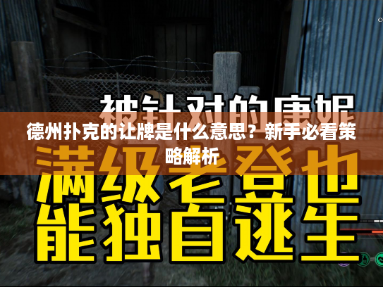 德州扑克的让牌是什么意思？新手必看策略解析
