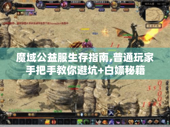 魔域公益服生存指南,普通玩家手把手教你避坑+白嫖秘籍