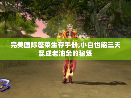 完美国际蓬莱生存手册,小白也能三天混成老油条的秘笈