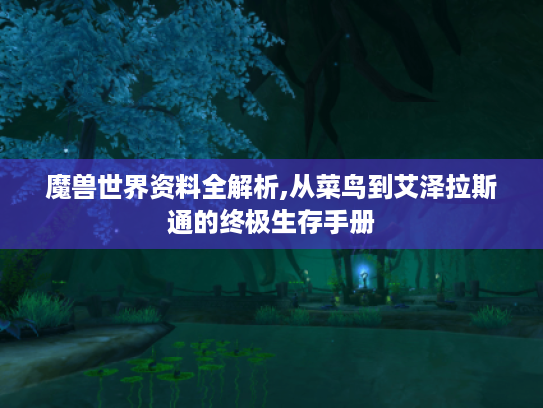 魔兽世界资料全解析,从菜鸟到艾泽拉斯通的终极生存手册