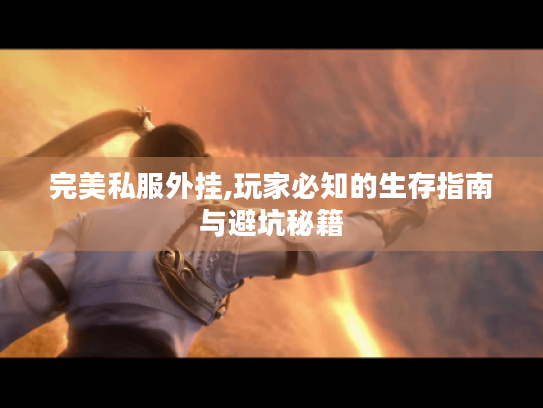 完美私服外挂,玩家必知的生存指南与避坑秘籍