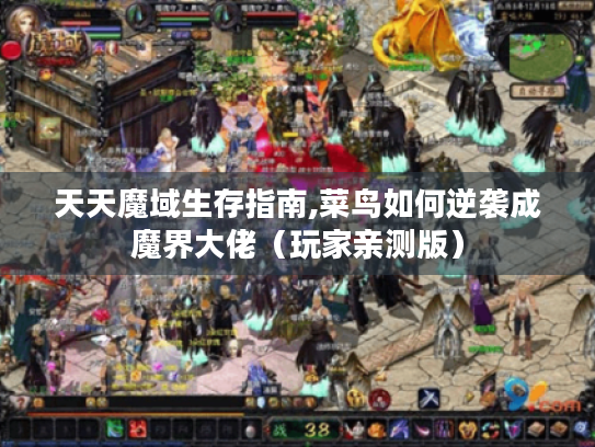 天天魔域生存指南,菜鸟如何逆袭成魔界大佬(玩家亲测版) 天天魔域生存指南,菜鸟如何逆袭成魔界大佬(玩家亲测版)