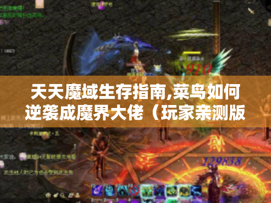 天天魔域生存指南,菜鸟如何逆袭成魔界大佬(玩家亲测版) 天天魔域生存指南,菜鸟如何逆袭成魔界大佬(玩家亲测版)
