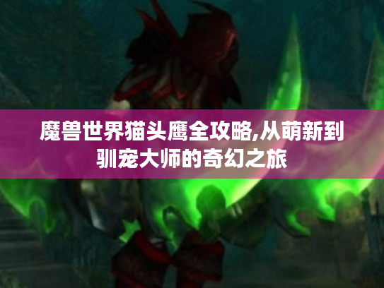 魔兽世界猫头鹰全攻略,从萌新到驯宠大师的奇幻之旅 魔兽世界猫头鹰全攻略,从萌新到驯宠大师的奇幻之旅