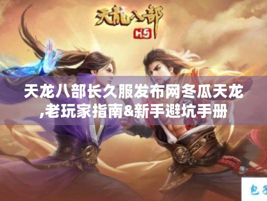 天龙八部长久服发布网冬瓜天龙,老玩家指南&新手避坑手册