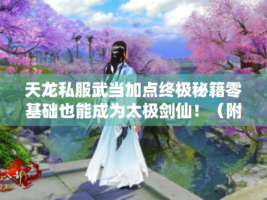 天龙私服武当加点终极秘籍零基础也能成为太极剑仙！（附实战教学）