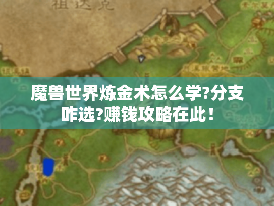 魔兽世界炼金术怎么学?分支咋选?赚钱攻略在此！