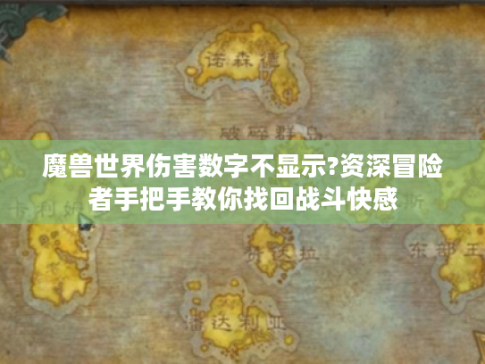 魔兽世界伤害数字不显示?资深冒险者手把手教你找回战斗快感