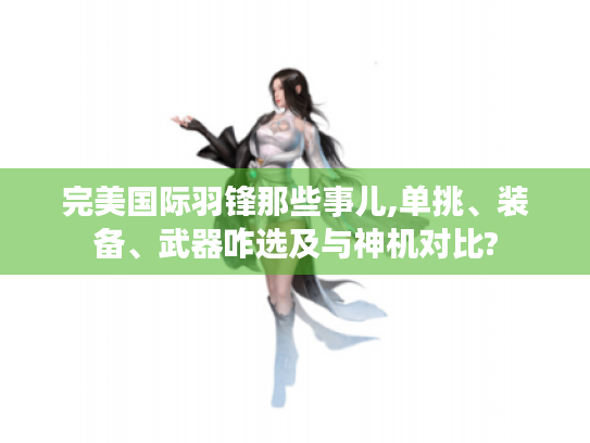 完美国际羽锋那些事儿,单挑、装备、武器咋选及与神机对比?