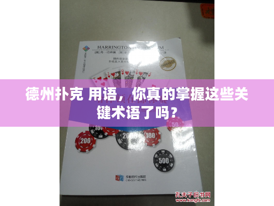 德州扑克 用语,你真的掌握这些关键术语了吗? 德州扑克 用语,你真的掌握这些关键术语了吗?