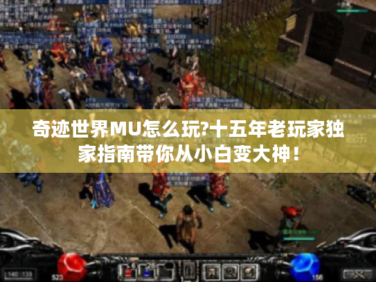 奇迹世界MU怎么玩?十五年老玩家独家指南带你从小白变大神！